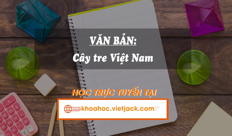 Văn bản: Cây tre Việt Nam