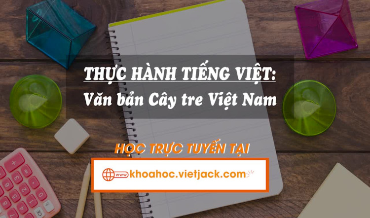 Bài 4. Thực hành tiếng việt: Văn bản Cây tre Việt Nam