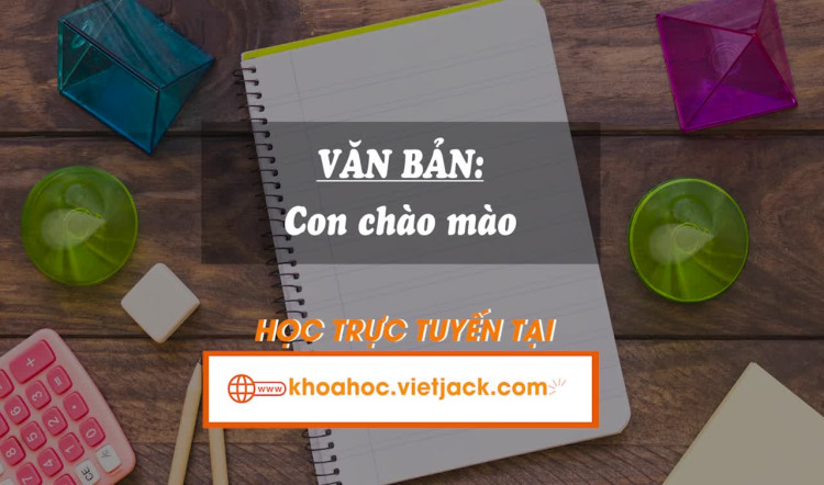 Bài 3. Văn bản: Con chào mào