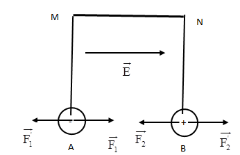 Hai quả cầu nhỏ A và B mang các điện tích lần lượt là -2.10-9C và 2.10-9C được treo ở hai đầu sợi chỉ cách điện có chiều dài như nhau, hai điểm treo M và N cách nhau 2cm. Khi các quả cầu cân  (ảnh 2)