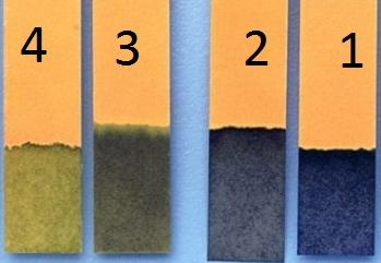 Sau khi nhúng lần lượt từng giấy chỉ thị pH (có sự chuyển màu tương tự như quỳ tím) vào 4 cốc, mỗi cốc chứa 1 chất lỏng được đánh số như trên giấy chỉ thị. Khẳng định nào sau đây là đúng? (ảnh 1)