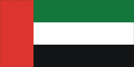 Quốc kì của Kuwait là: (ảnh 4)