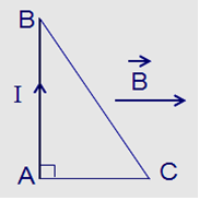  Một dây dẫn được uốn thành một khung dây có dạng hình tam giác vuông ABC như hình vẽ.Đặt khung dây vào trong từ trường đều có véc tơ cảm ứng từ \(\overrightarrow B \)song song với cạnh AC. C (ảnh 1)