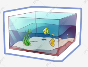 Một bể nuôi cá cảnh dạng khối hộp chữ nhật, có kích thước 30 cm x 40 cm và chiều cao 20cm. Lượng nước trong bể cao bằng  (ảnh 1)