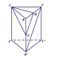 Cho hình lăng trụ đứng \(ABC.A'B'C'\) có đáy là tam giác vuông và \(AB = BC = a,AA' = a\sqrt 2 ,M\) là trung điểm của \(BC.\) Khoảng cách giữa hai đường thẳng \(AM\) và \(B'C\) bằng (ảnh 1)