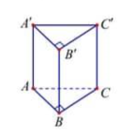 Cho lăng trụ đứng \(ABC.A'B'C'\) có \(BB' = a,\) đáy \(ABC\) là tam giác vuông cân tại \(B,AB = a.\) Tính thể tích của khối lăng trụ. (ảnh 1)
