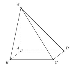 Cho hình chóp \(S.ABCD\) có đáy là hình vuông \(ABCD\) cạnh \(a,\) cạnh bên vuông góc với mặt phẳng đáy và \(SA = a\sqrt 2 .\) Thể tích của khối chóp \(S.ABCD\) bằng (ảnh 1)