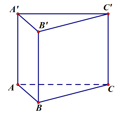 Hình lăng trụ tam giác có bao nhiêu mặt?D. 3. (ảnh 1)