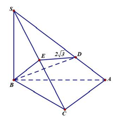Cho hình chóp S.ABC có đáy là tam giác ABCvuông cân tại \(A,SB = 12,SB\) vuông góc với \(\left( {ABC} \right).\) Gọi \(D,E\) lần lượt là các điểm thuộc các đoạn \(SA,SC\) sao cho \(SD = 2DA,E (ảnh 1)