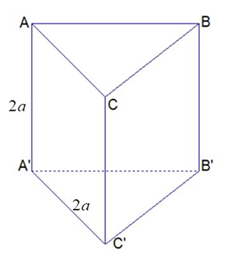 Tính thể tích khối lăng trụ tam giác đều \(ABC.\,A'B'C'\) biết tất cả các cạnh của lăng trụ đều bằng \(2a\). (ảnh 1)