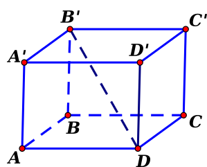  Cho hình lập phương ABCD.A'B'C'D' (như hình vẽ), tang của góc giữa đường (ảnh 1)