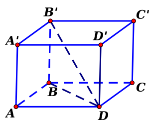  Cho hình lập phương ABCD.A'B'C'D' (như hình vẽ), tang của góc giữa đường (ảnh 2)