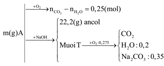  Đốt cháy hoàn toàn m gam hỗn hợp A gồm 3 este X, Y, Z (đều mạch hở và chỉ chứa chức este, X có khối lượng nhỏ nhất trong A) thu được số mol CO2 lớn hơn số mol H2O là 0,25 mol. Mặt khác, m ga (ảnh 1)