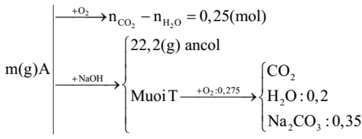  Đốt cháy hoàn toàn m gam hỗn hợp A gồm 3 este X, Y, Z (đều mạch hở và chỉ chứa chức este, X có khối lượng nhỏ nhất trong A) thu được số mol CO2 lớn hơn số mol H2O là 0,25 mol. Mặt khác, m ga (ảnh 2)