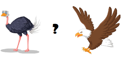 Which animal can’t fly? (ảnh 1)