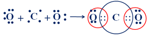  Trong một phân tử CO2có số cặp electron chung là (ảnh 1)