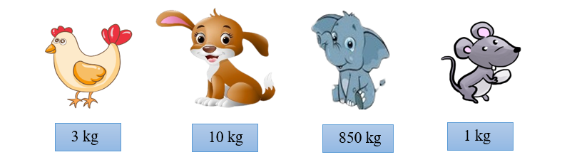  Con vật nào có cân nặng nhỏ nhất? (ảnh 1)