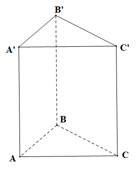 Hình lăng trụ đứng tam giác có bao nhiêu mặt? A. 9 mặt;  B. 8 mặt; C. 5 mặt; (ảnh 1)