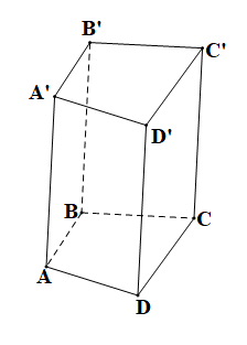 Các mặt bên của hình lăng trụ tứ giác là hình gì? A. hình tam giác; B. hình bình hành (ảnh 1)