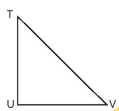 Đỉnh nào sau đây không phải là đỉnh của tam giác TUV? (ảnh 1)
