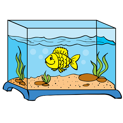 Bể cá dưới đây có dạng hình gì? (ảnh 1)