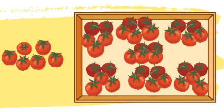 Có tất cả bao nhiêu quả cà chua trong hình vẽ dưới đây (ảnh 1)
