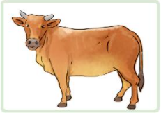 Cân nặng nào sau đây phù hợp với cân nặng của con bò? (ảnh 1)