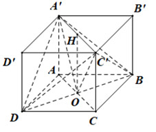 Cho hình hộp chữ nhật ABCD.A′B′C′D′ có đáy ABCD là hình vuông cạnh  (ảnh 2)