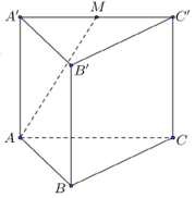 Cho hình lăng trụ tam giác đều ABC.A′B′C′ có độ dài cạnh đáy AB=8,, cạnh bên bằng (ảnh 1)