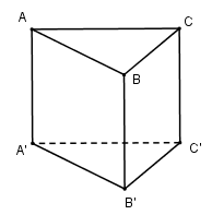 Cho hình lăng trụ đứng ABC.A′B′C′ có đáy ABC là tam giác vuông tại A.  (ảnh 1)