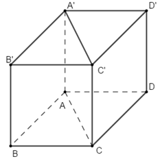 Cho hình lập phương ABCD.A' B 'C ' D ' có diện tích mặt chéo ACC’A’ bằng  (ảnh 1)