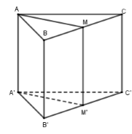 Trong không gian Oxyz, cho hình lăng trụ tam giác đều ABC.A′B′C′ có  (ảnh 1)