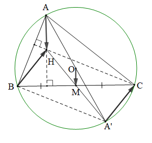 Cho tam giác ABC không vuông, với trực tâm H, nội tiếp đường tròn (O). Kẻ đường kính AA' của đường tròn (O).Chứng minh rằng vecto BH  = vecto A'C (ảnh 1)