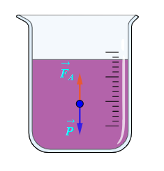Một vật đồng chất được thả vào một cốc chất lỏng. Ở trạng thái cân bằng, vật chìm một nửa thể tích trong chất lỏng. Tìm mối liên hệ giữa trọng lực vecto P  của vật và lực đẩy Ar (ảnh 1)