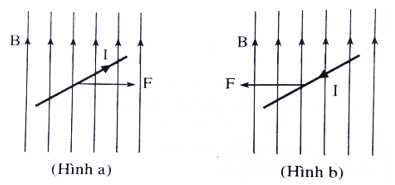 Chọn phát biểu đúng A. Hình vẽ a đúng, hình vẽ b sai B. Hình vẽ a sai, hình vẽ b đúng C. Cả hai hình vẽ đều đúng (ảnh 1)