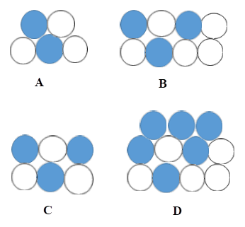  Hình nào có \(\frac{1}{2}\) số hình tròn được tô màu: (ảnh 1)