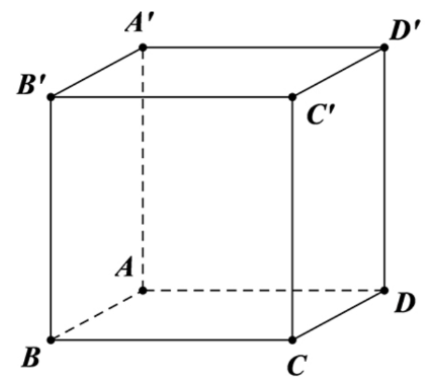 Cho hình lập phương  A B C D . A ′ B ′ C ′ D ′ . Vectơ nào là vectơ pháp tuyến của mặt phẳng  ( A B C D ) ? (ảnh 1)