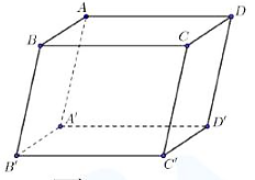 Cho hình hộp chữ nhật  A B C D . A ′ B ′ C ′ D ′ .    Vectơ nào sau đây cùng phương với  −−→ B C  ? (ảnh 1)