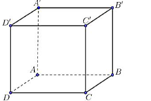 Cho hình lập phương  A B C D . A ′ B ′ C ′ D ′ . Khẳng định nào sau đây là sai? (ảnh 1)