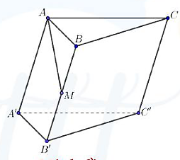 Cho hình lăng trụ  A B C . A ′ B ′ C ′ . Gọi  M  là trung điểm của cạnh  B B ′ . Đặt  −−→ C A = → a ,  −−→ C B = → b ,  −−→ A A ′ = → c . Khẳng định nào sau đây đúng? (ảnh 1)