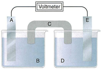  Xét pin Galvani tạo bởi hai điện cực kim loại:a) A là anode, E là cathode, C là cầu muối.b) Nếu Alà Zn thì B phải là ZnSO4.c) Nếu C chứa KNO3 thì ion K+ được chuyển từ C vào D.d) Chiều dòng  (ảnh 1)