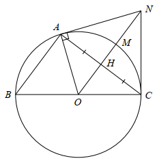 Cho đường tròn  ( O ; R )  đường kính  B C ,  lấy điểm  A ∈ ( O ) .  Gọi  H  là trung điểm của  A C .  Tia  O H  cắt đường tròn  ( O )  tại  M .  Từ  A  vẽ tiếp tuyến với đường tròn  ( O )  cắt tia  O M  tại  N .  Cho các khẳng định sau: (ảnh 1)