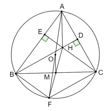 Cho tam giác nhọn  A B C  có ba đỉnh nằm trên đường tròn  ( O ) . Hai đường cao  B D  và  C E  cắt nhau tại  H . Vẽ đường kính  A F  và gọi M  là trung điểm  B C . Cho các khẳng định sau: (ảnh 1)