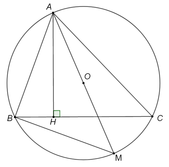 Cho tam giác  A B C  có ba góc nhọn, đường cao  A H  và nội tiếp đường tròn tâm  ( O ) , đường kính  A M . Số đo góc  ˆ A B M  là (ảnh 1)