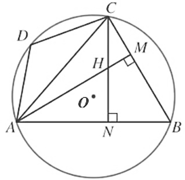 Cho tứ giác  A B C D  nội tiếp đường tròn  ( O )  sao cho tam giác  A B C  nhọn. Hai đường cao  A M , C N  của tam giác  A B C  cắt nhau tại  H .  Khẳng định nào sau đây là đúng? (ảnh 1)