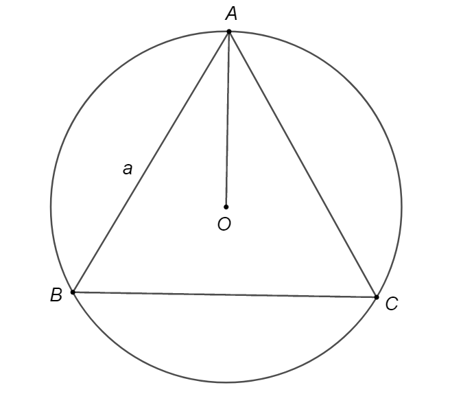 Đường tròn ngoại tiếp tam giác đều cạnh  a  có bán kính bằng (ảnh 1)