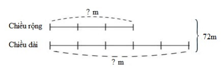  Con hãy chọn đáp án đúng nhấtMột thửa ruộng hình chữ nhật có chu vi là 144 m, chiều rộng bằng  chiều dài. Diện tích thửa ruộng đó là: (ảnh 2)