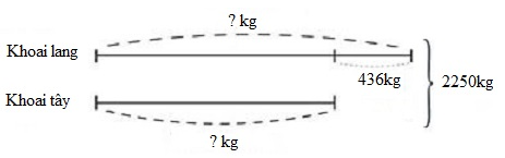 Nhà bác Hùng thu được tất cả 2 250 kg khoai lang và khoai tây. Biết số khoai lang nhiều hơn số khoai tây là 436 kg. Tính khối lượng mỗi loại khoai. (ảnh 1)