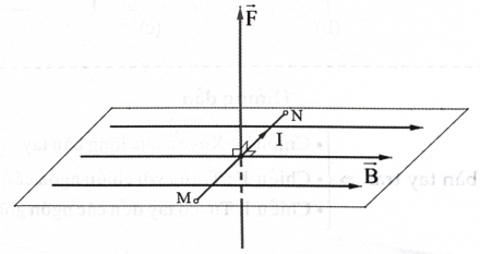 Một đoạn dây dẫn dài 20 cm, có dòng điện 0,5 A chạy qua đặt trong từ trường đều có B = 0,02 T. Biết đường sức từ vuông góc với dây dẫn và đều nằm trong mặt phẳng ngang. Lực từ tác dụng lên dâ (ảnh 1)