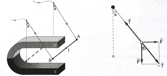Giữa hai cực của một nam châm hình chữ U có một từ trường đều. Vectơ cảm ứng từ thẳng đứng, có độ lớn B = 0,5 T. Người ta treo một đoạn dây dẫn thẳng dài l =5cm, khối lượng m = 5 g nằm ngang  (ảnh 1)